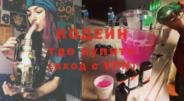 ГАЛЛЮЦИНОГЕННЫЕ ГРИБЫ Гусь-Хрустальный