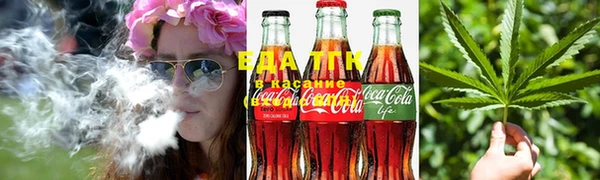 ГАЛЛЮЦИНОГЕННЫЕ ГРИБЫ Гусь-Хрустальный