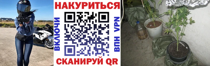 Каннабис White Widow  kraken как войти  Далматово 